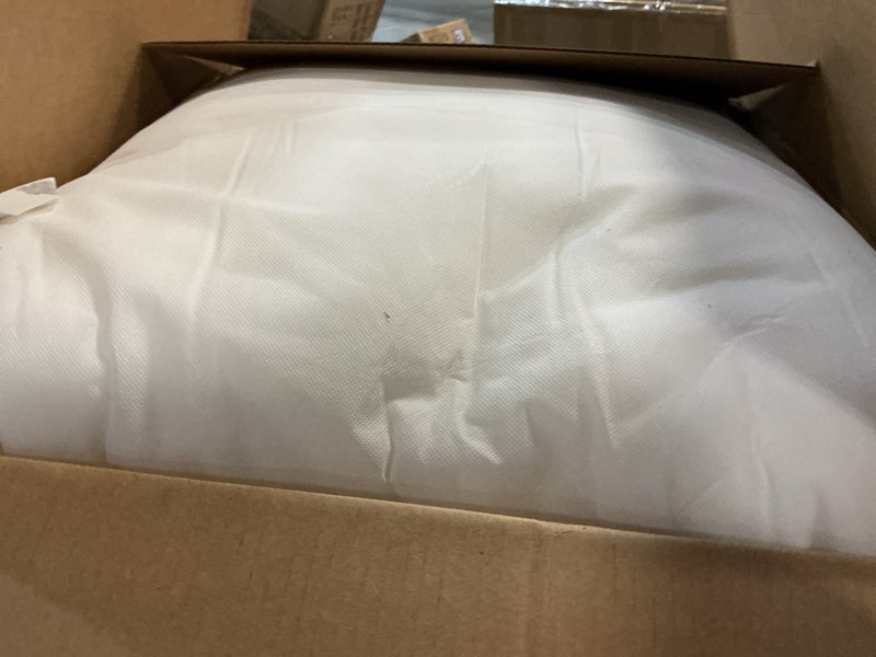Condition photo showing Good Condition for LANE LINEN 18 x 18 Throw Pillow Insert - Pack of 2 White, Down Alternative Pillow Inserts for Decorative Pillow Covers, Throw Pillows for Bed, Couch Pillows for Living Room 18 x 18-Inch 01: White