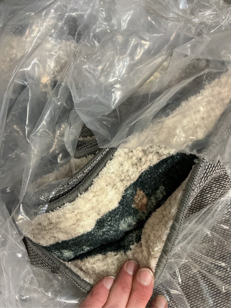 Condition photo showing As Is for Loloi Rifle Paper Co. Eden Collection EDE-02 Mughal Garden Black 8'-6" x 11'-6" Area Rug feat. CloudPile™ Mughal Garden Black 8'6" x 11'6" (Rectangular)