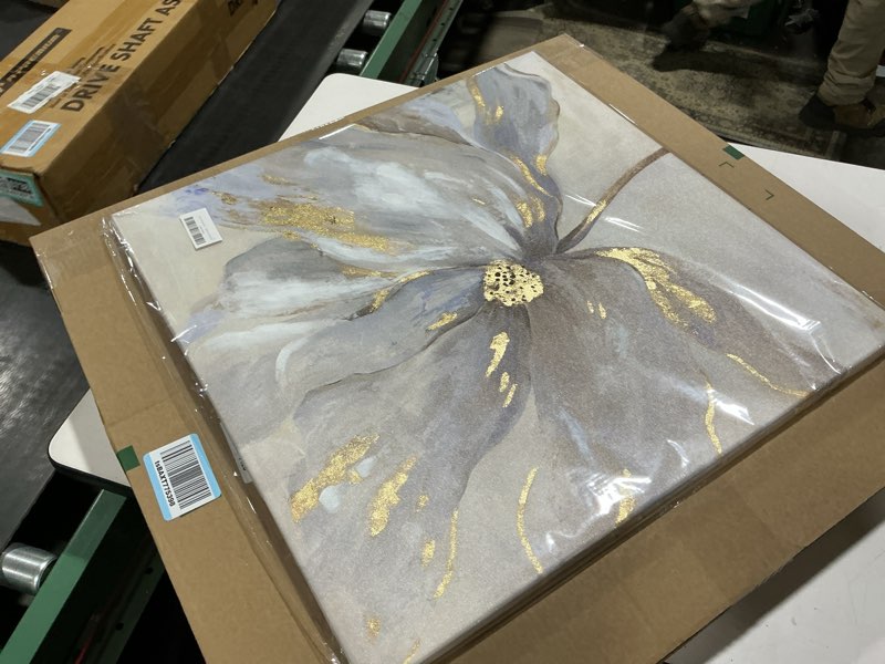 Condition photo showing Good Condition for Goldfoilart Floral Wall Art Gold Flower Canvas Pictures with Foil Embellishment Painting Grey Print Framed Artwork for Bedroom Bathroom Living Room Office Wall Decor 24" x 24" Floral 24"L x 24"W