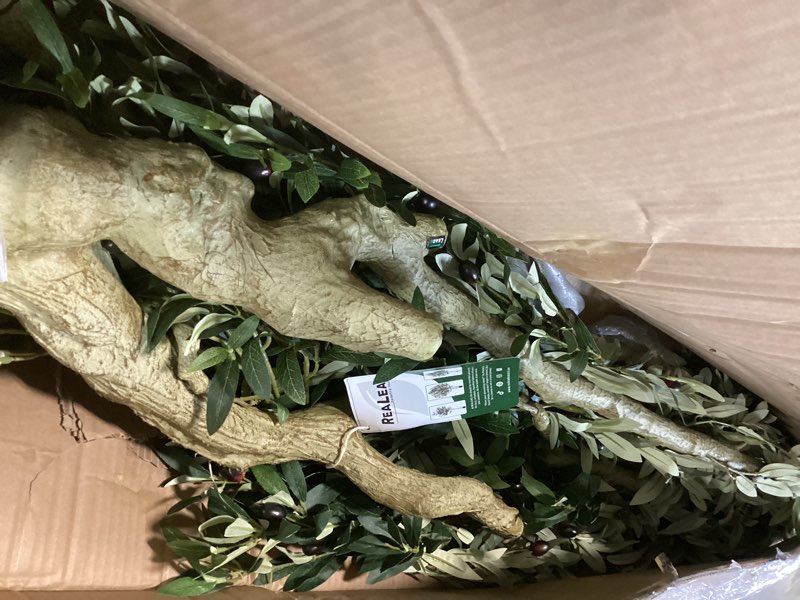Condition photo showing Good Condition for Realead Artificial Olive Tree 8ft - Large Faux Olive Tree with Realistic Leaves and Olives - Full and Grand Design Fake Olive Tree with Sturdy Base for Indoor Outdoor Office Decor