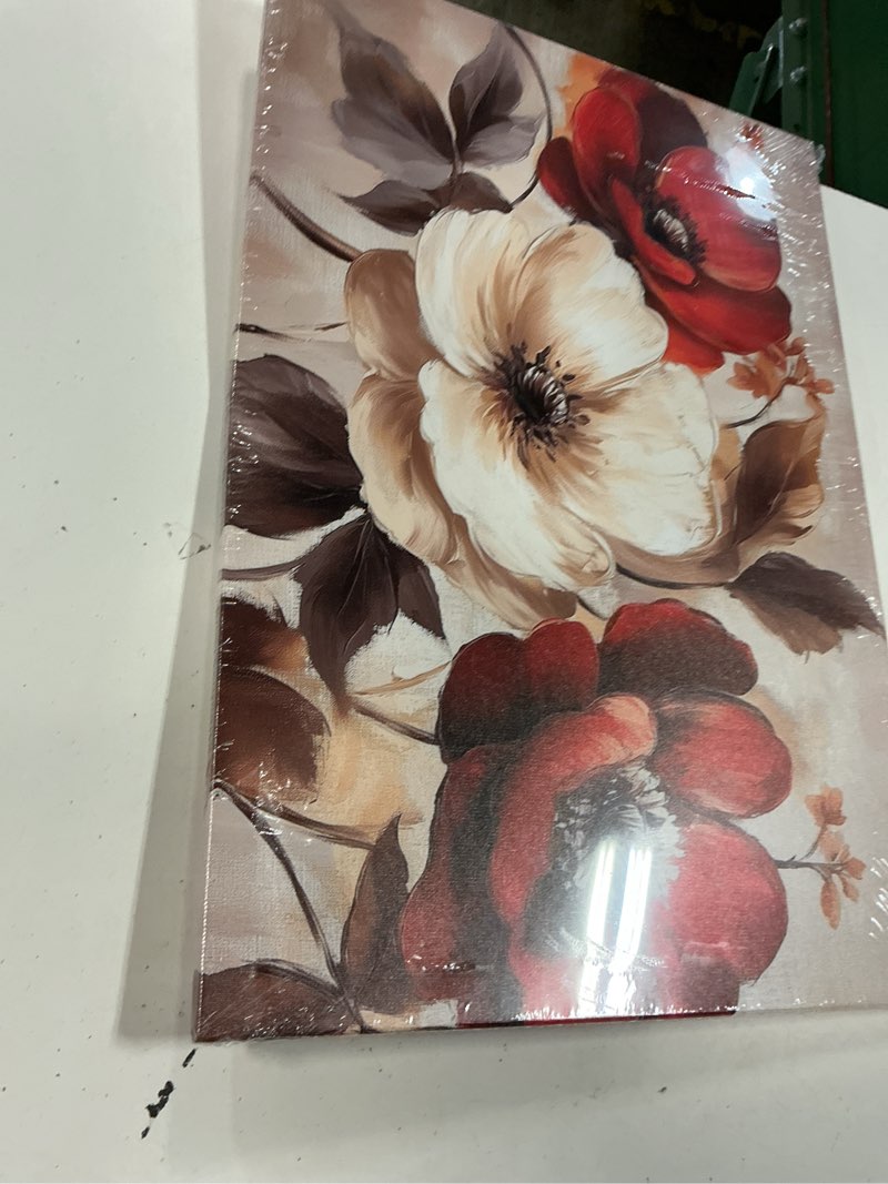 Condition photo showing Good Condition for ZSHARTSWD Poppy Canvas Wall Art Abstract Red and Brown Flowers Picture Bathroom Poster Print Vintage Floral Painting for Home Kitchen Living Room Decor Framed (16L x 24W) 16L" x 24W"