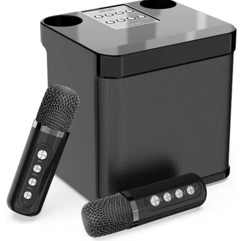 Bluetooth Karaoke Speaker with 2 Wireless Microphones