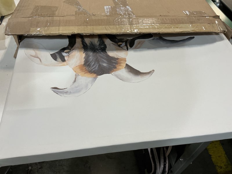 Condition photo showing Good Condition for Stupell Industries Happy Goat Smiling Animals Canvas Wall Art, Design by Diane Fifer 24"L x 24"W