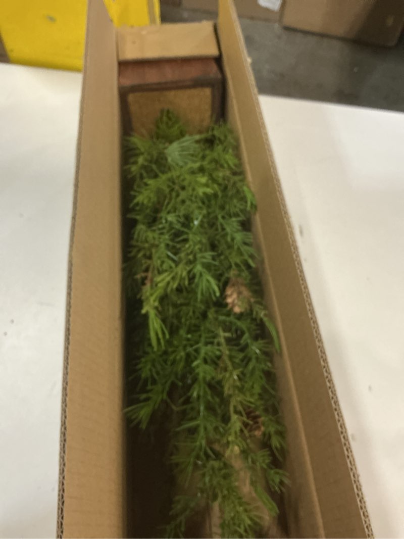 Condition photo showing Good Condition for nearly natural 28in. alpine natural look artificial christmas tree in wood planter with pine cones