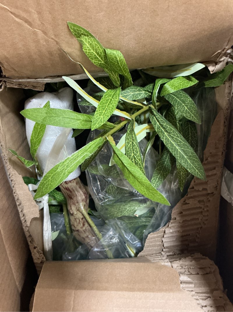 Condition photo showing Good Condition for olive trees artificial indoor - faux olive tree 7ft with large olive branches and lifelike fruits - artificial olive tree for modern home office house living room decor