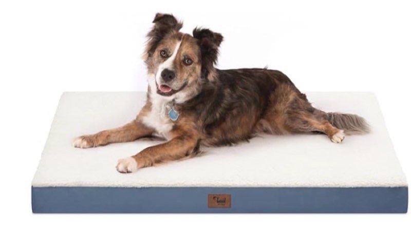 tail stories outdoor large dog bed, waterproof dog bed for large dogs, egg crate foam pet bed with r