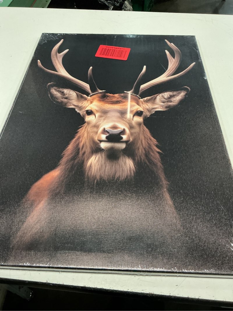 Condition photo showing New/Like New for lyunshuo deer canvas wall art minimalist elk portrait pictures hunting wall decor wildlife animal painting vintage artwork for home living room bedroom bathroom office decor deer-5 24"l x 16"w