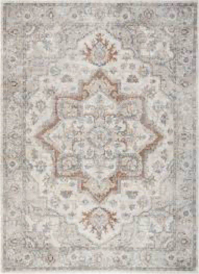 Nourison Home Astra Machine Washable Traditional Grey/Multi 3'3\\\" x 5' Area Rug, Easy Cleaning, Non Shedding, Bed Room, Living Room, Dining Room, Kitchen (3x5)
