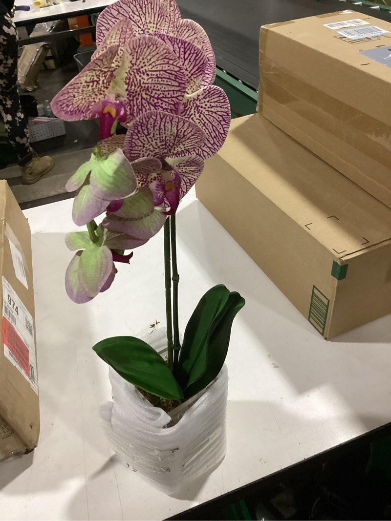Condition photo showing Good Condition for Nearly Natural 24-in. Orchid Phalaenopsis Artificial Vase Silk Arrangements, Pink