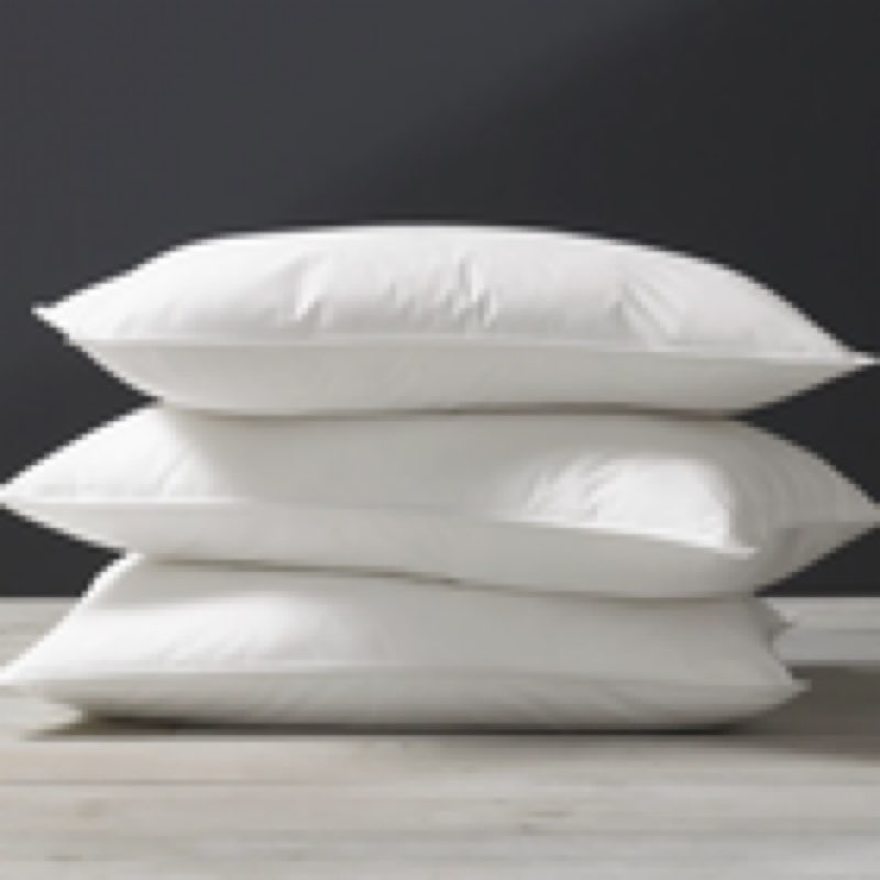 (Similar)Goose 90% Feather 10% Down Pillow Natural High Quality 60x60 cm 24x24 inch 1&3Pc