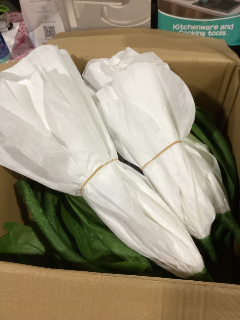 Condition photo showing Good Condition for giant flowers for decoration,large paper flowers with stand,artificial flowers for home decor,wedding background decor,shop window display,photography props,banquet party (white)