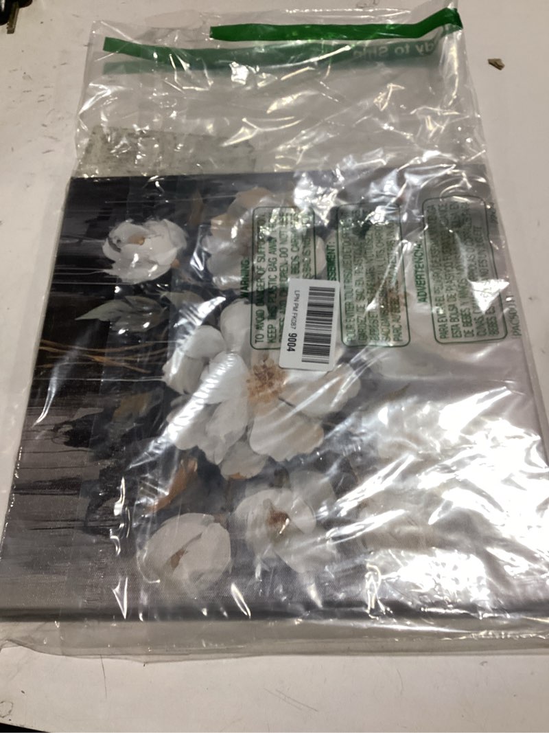 Condition photo showing Good Condition for Bathroom Wall Art,Small Floral Canvas Wall Art,White and Gray Flower Decoration,Bedroom Office Flower Wall Decoration,14"x14"inches B-13 14"L x 14"W