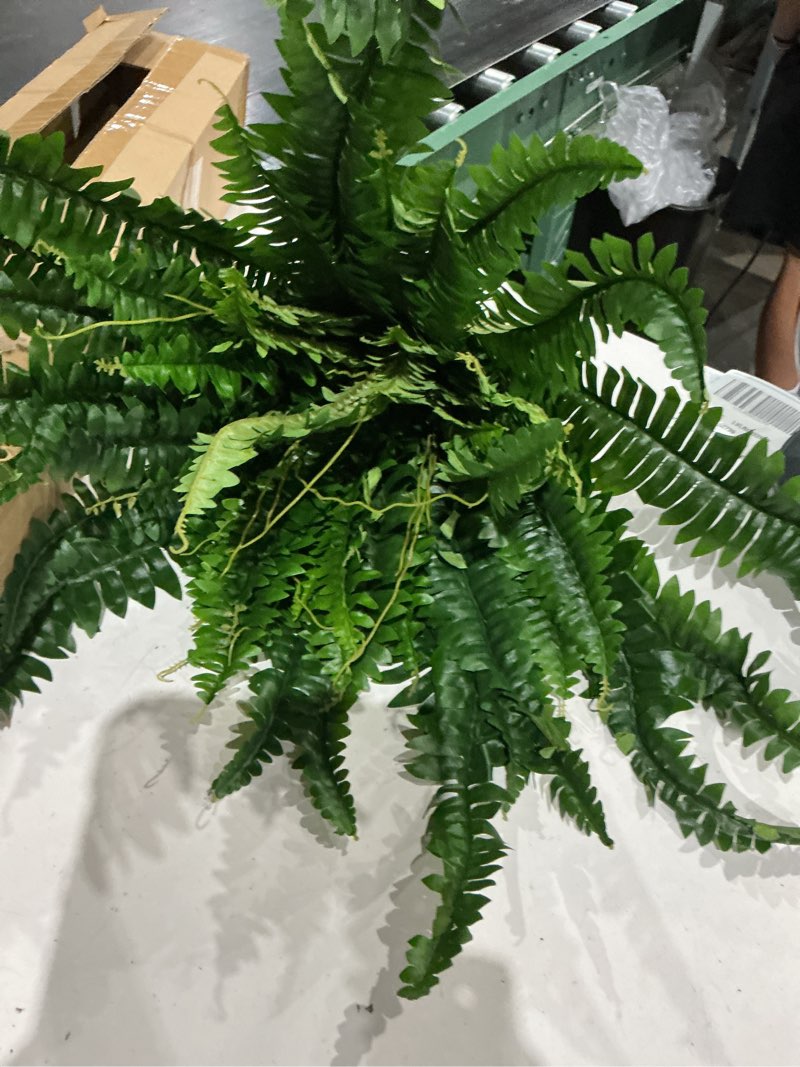 Condition photo showing As Is for artificial fern plants in partificial boston feleaves for outdoors & indoor faux potted plant fake ferns bush plant