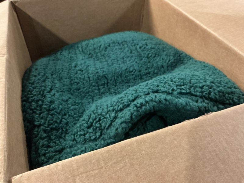 Condition photo showing Good Condition for horimote home ultra soft sherpa throw blanket with pompom fringe, lightweight plush boho throw blanket for couch, sofa, bedroom,travel, christmas decor, warm blanket for winter, 50"x60", green green with fringe throw-50'' x 60''