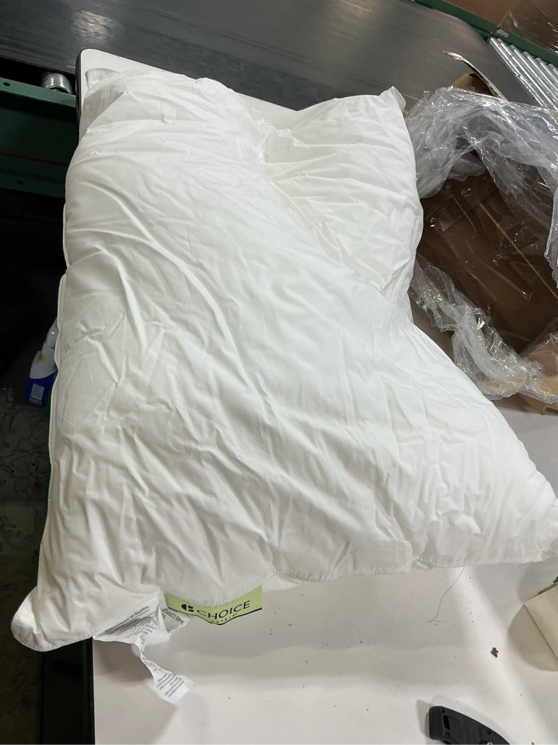 Condition photo showing Good Condition for pillow, standard 