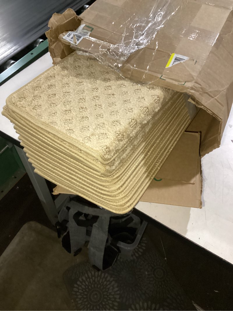 Condition photo showing Good Condition for PURE ERA Bullnose Carpet Stair Treads Set Tape Free Non-Slip Indoor Stair Protectors Pet Friendly Rugs 9.5" x 30"(14 Pieces,Khaki Mini-Diamond Trellis) Khaki Mini-diamond Trellis 14 Pieces with Bullnose