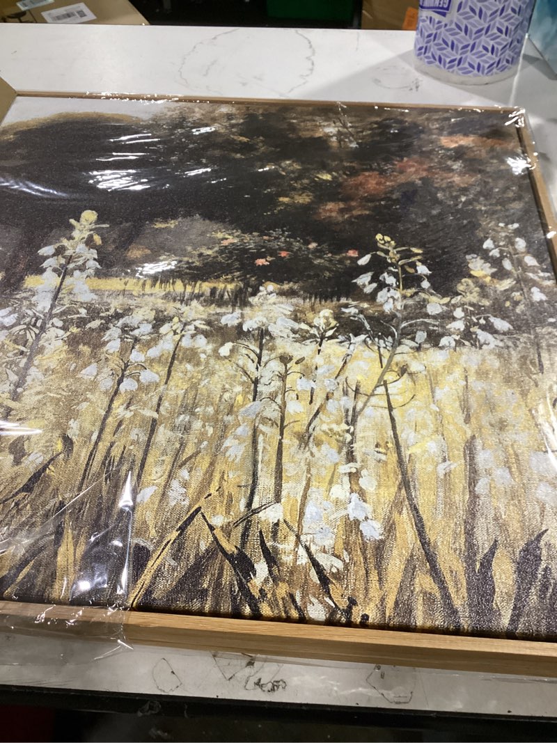 Condition photo showing As Is for blinfeiru framed canvas wall art decoration, vintage nature landscape painting prints, countryside farmhouse wildflower field artwork, rustic scenery picture, home living room bedroom decor 20"x40" 40l" x 20w" sommerhyazinthen (galtonien)