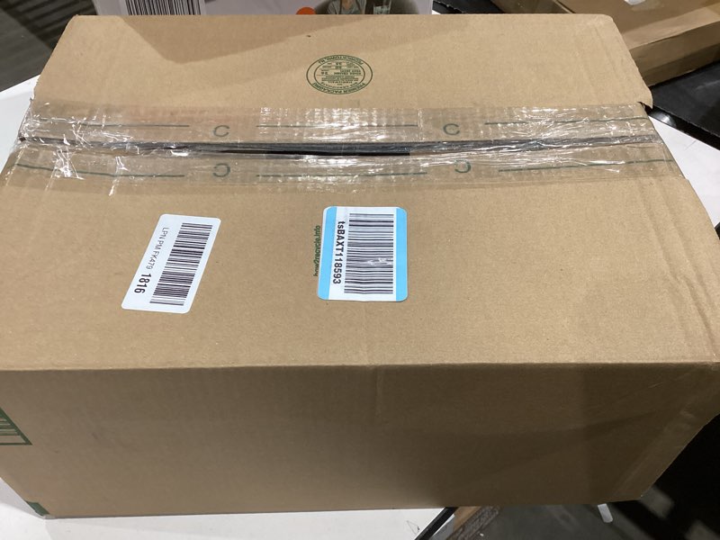 Condition photo showing As Is for Kids bluey rollee skates size J9-J12