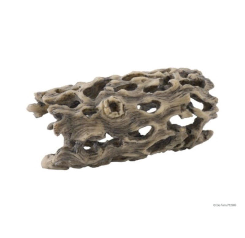 Exo Terra Cholla Cactus Skeleton (Small)(Pack Of 4)