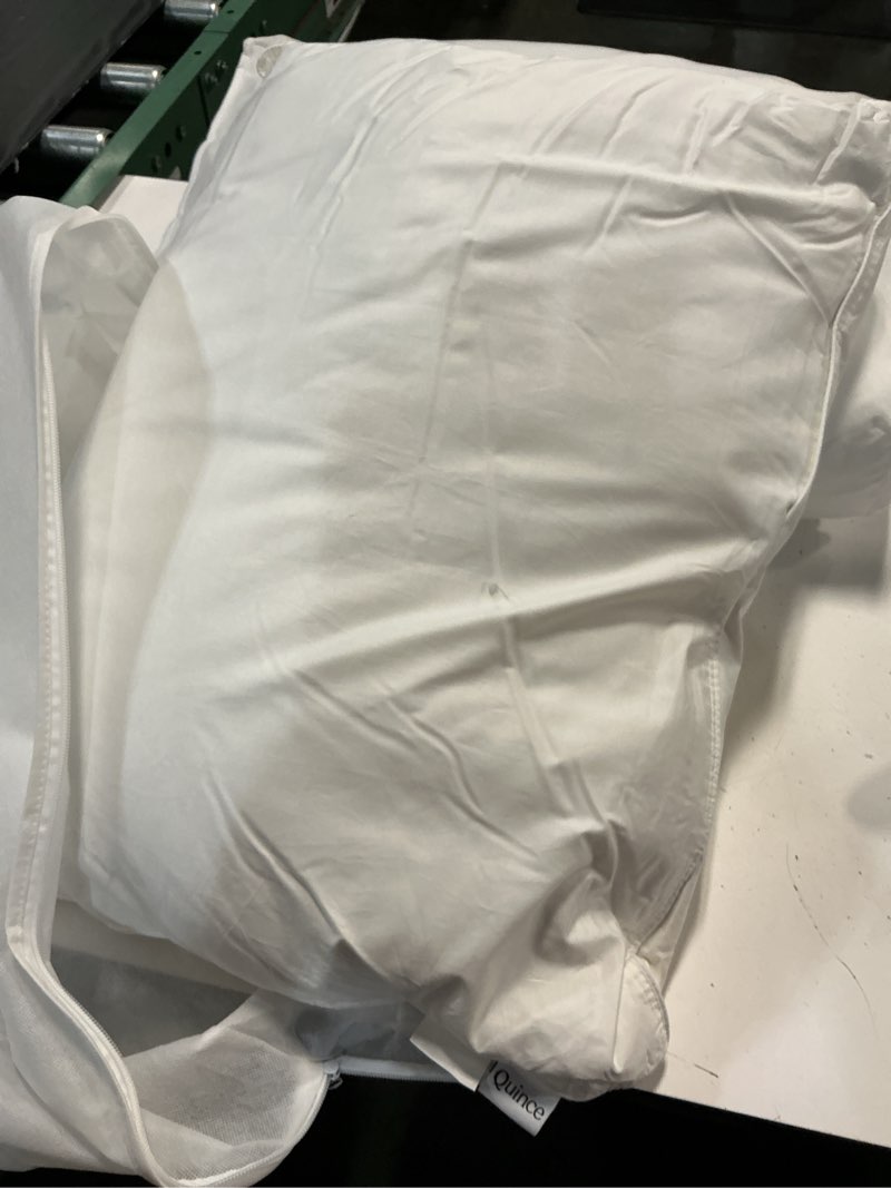 Condition photo showing As Is for luxe goose down pillow, standard, soft/medium