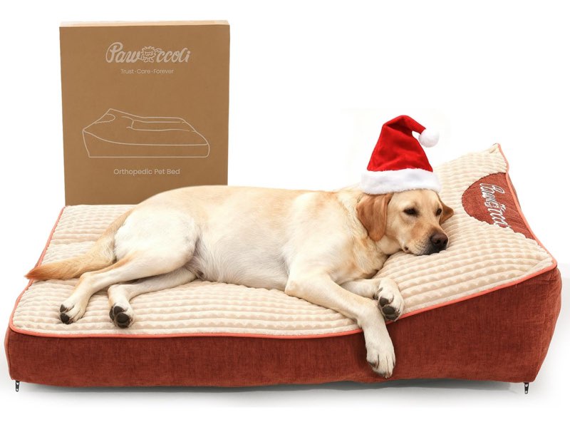 Cama Para Perro Pawccoli Xl Con Espuma Ortopédica Para Masco