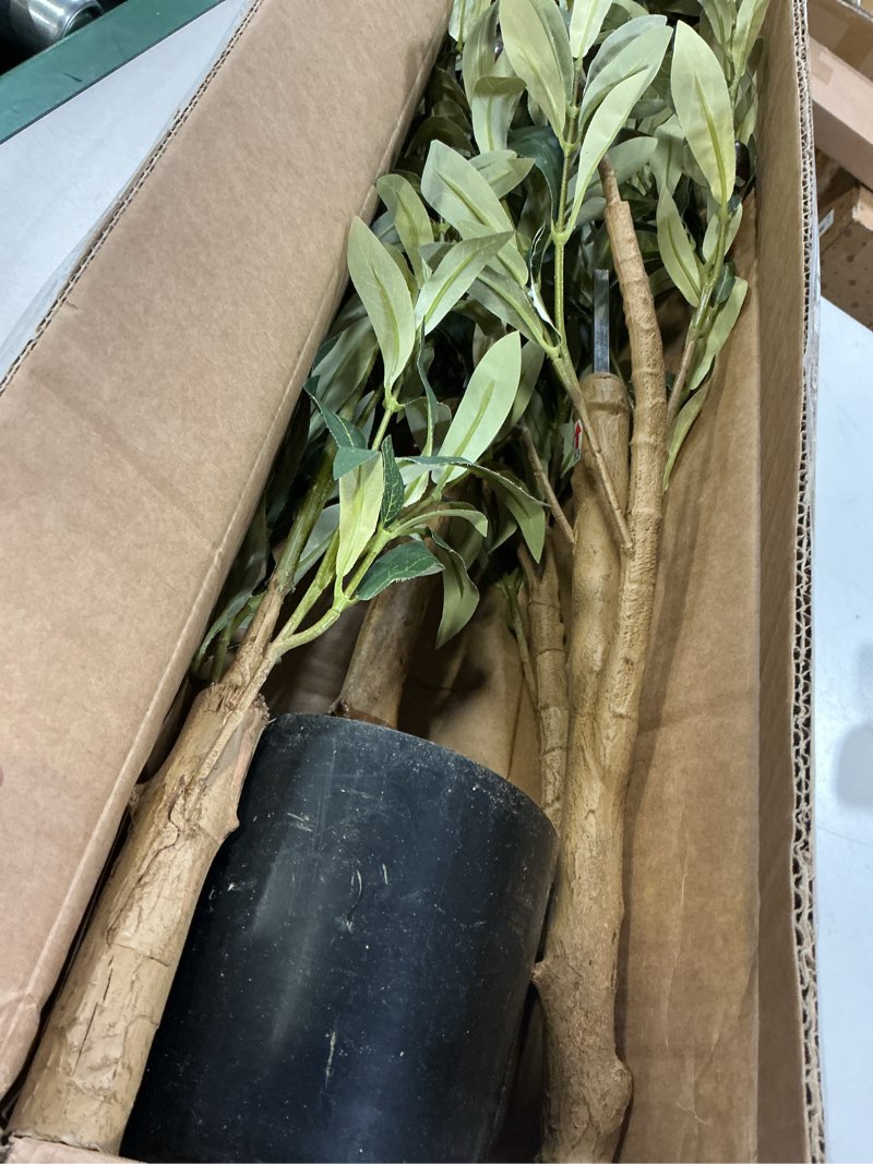 Condition photo showing Good Condition for Bellacat Faux Olive Tree 4ft?Olive Trees Artificial Indoor with Natural Wood Trunk and Realistic Leaves and Fruits. 4 Feet(48in) Fake Olive Tree for Home House Office Décor. 1 4ft