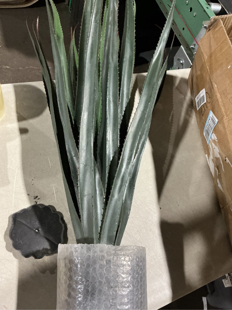 Condition photo showing Good Condition for agave succulent plant in black pot, floral home by artificial flowers
