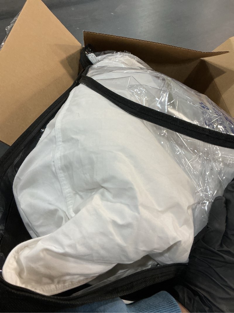 Condition photo showing As Is for Blue Ridge Home Fashions White Siberian 500 Thread Count Cotton Damask Pattern Premium Pillow-Natural Hypoallergenic Fill-Made in USA, Jumbo