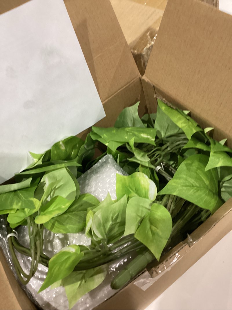 Condition photo showing Good Condition for ROVALA Silk Plants for Home Decor Indoor in Pot Realistic Artificial Plants Fake Hanging Plants Faux Plants Indoor Fake Potted Plants Fake Plants for Shelves Bathroom Plants, Fake Pothos (Light Green) 01 Light Green
