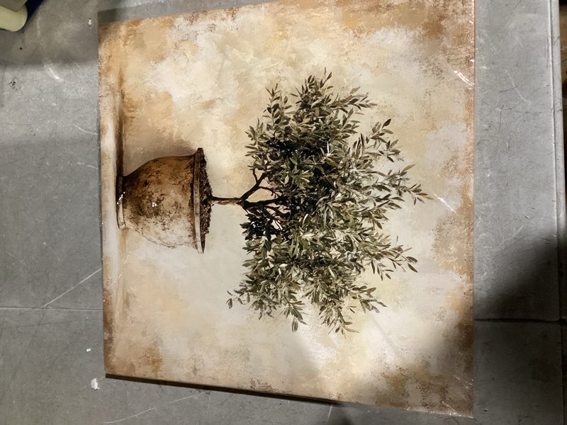 Condition photo showing Good Condition for Rustic Vintage Framed Wall Art Sign-Olive Tree Potted Plant Tabletop Decor 8x8 Inch- Gifts for Farmhouse, Cafes, Stores, Room, Bathroom, Home & Office color12