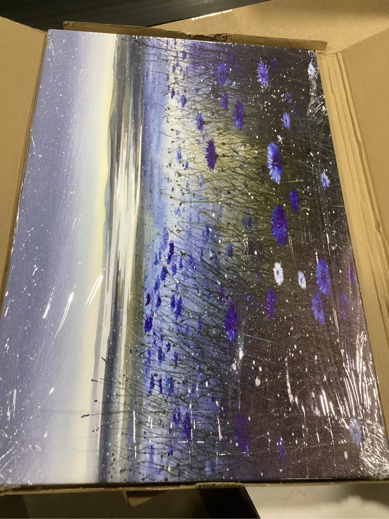 Condition photo showing Good Condition for Dusk Wildflower Meadow Canvas Wall Art Framed Painting Blue Cornflowers Lake Wall Decor Artwork Print Poster Serene Night Sky Landscape for Bedroom Living Room Decor 16x24 Inches 24"L x 16"W