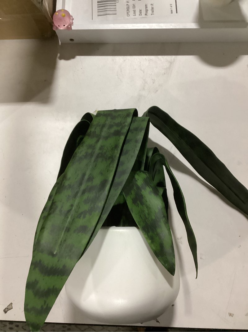 Condition photo showing Good Condition for Artificial Snake Plant 22.5" Faux Agave Fake Sansevieria Artificial Potted Plants for Indoor and Outdoor Home Office Décor (White Pot)