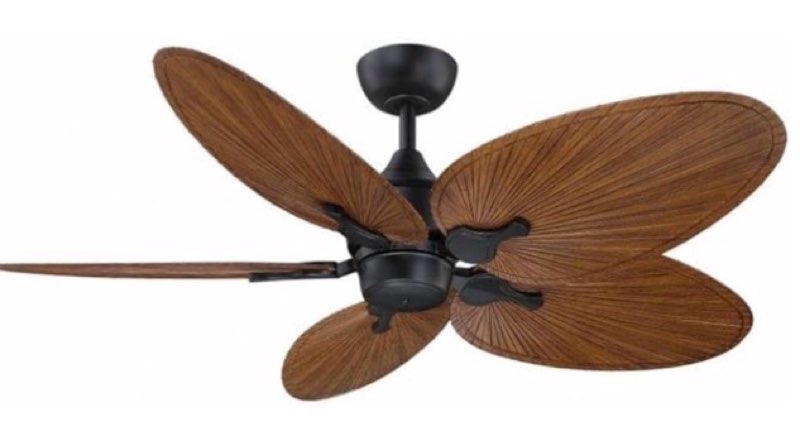 Fanimation Islander DC 22 inch Indoor/Outdoor Ceiling Fan Wide Oval Palm Blades - Set of 5 - Natural