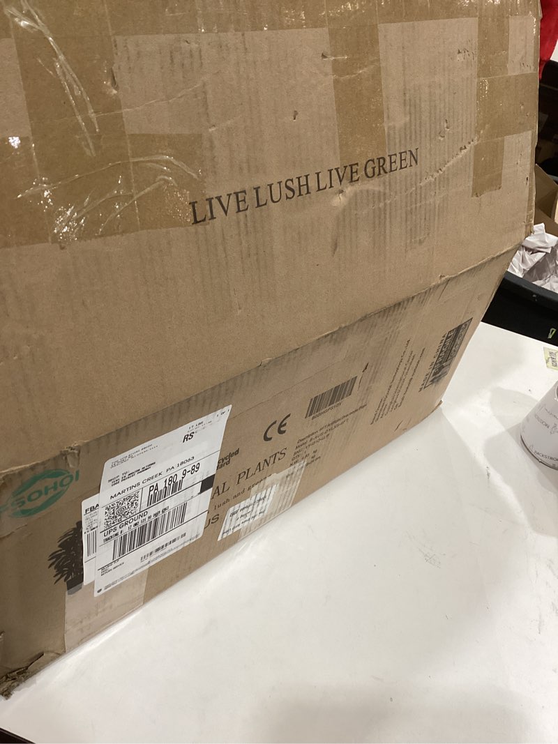 Condition photo showing Good Condition for Artificial Dracaena Tree - 6FT Tall Fake Plants with Black Square Planter - Artificial Plants Indoor Floor Plant in Pot - Large Tropical Fake Yucca Potted Tree for Home Office Living Room Decor 6 FT Black 1