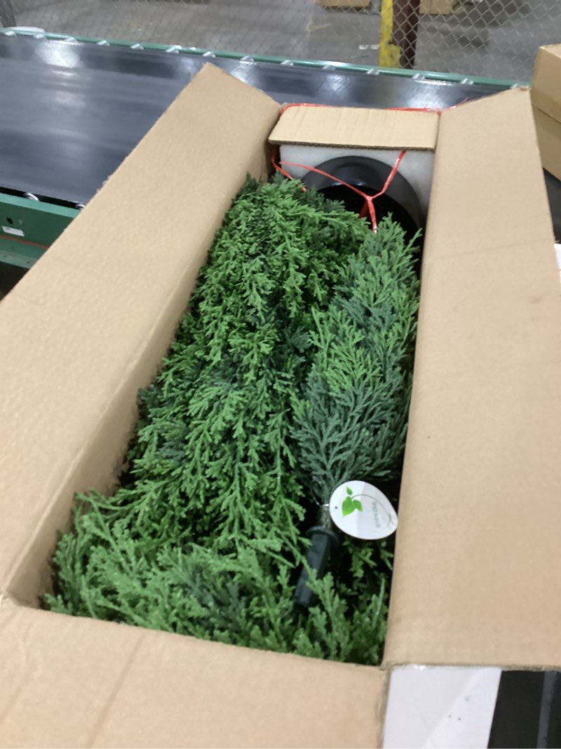 Condition photo showing New/Like New for SEVENLOVE 60" Artificial Cedar Topiary Tree One Set, 5FT SEVENLOVE Potted Cedar Tree Topiary Artificial Plant Shrub for Front Porch Home Office Decor (1, 5)