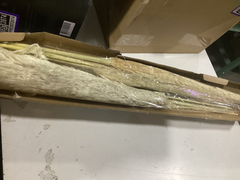 Condition photo showing New/Like New for ouddy decor 10 pcs faux pampas grass decor 38''/97cm tall artificial large pompous pompas floral fluffy fake plants floor vase filler for wedding kitchen home boho decorations, mixed beige