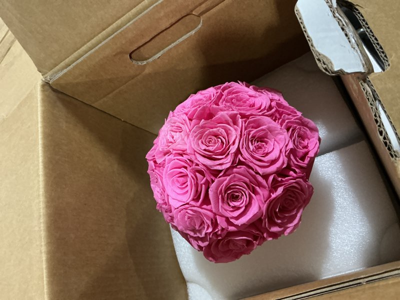 Condition photo showing Good Condition for 18 preserved roses in round dome shape, mother's day real forever flowers rose box, eternal rose gift for her women girl friend wife, flower gift for valentines day(pink) dome-pink 18 roses dome shape