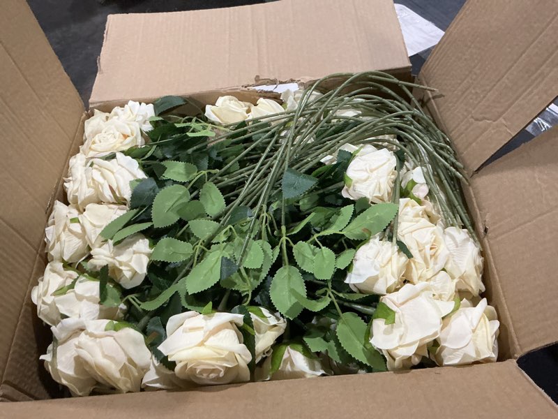 Condition photo showing Good Condition for 100 PCS Fake Champagne Roses, Artificial Champagne Flowers Bulk Realistic Silk Faux Rose with Stems for Wedding Decoration Anniversary Bridal Bouquet DIY Floral Arrangement Romantic Home Decor Gifts Champagne 100 Pcs