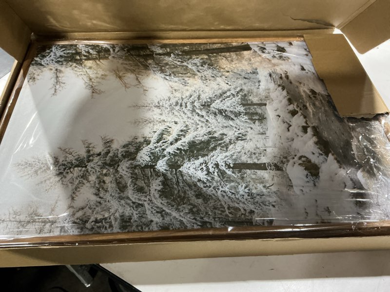 Condition photo showing Good Condition for Christmas Canvas Wall Art, Winter Snowy Pine Tree Forest Landscape Painting Poster, 3pcs Evergreen Tree Picture Moody Print, Classic Xmas Holiday Prints for Living Room Bedroom 16x24in Unframed Unframed Set 02 16"L x 24"W