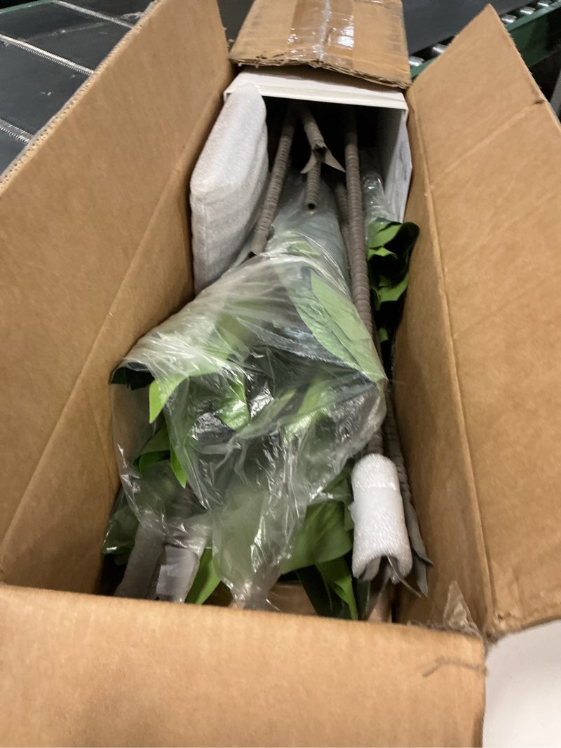 Condition photo showing New/Like New for Artificial Dracaena Plant 6FT - Fake Tree with White Tall Planter - Faux Yucca Tall Fake Floor Plant in Pot - Artificial Trees for Home Office Living Room Decor Indoor White 5ft 10in