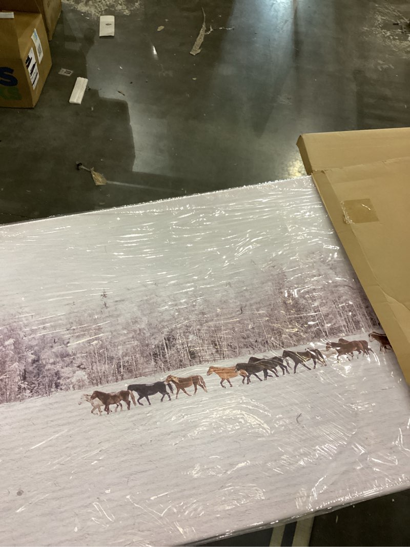 Horse canva painting 