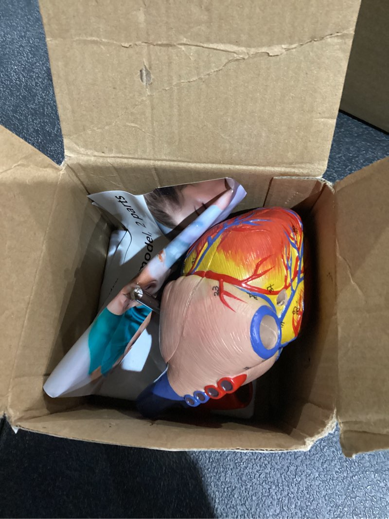 Condition photo showing Good Condition for breesky Life Size Human Heart Model, Anatomically Accurate 2-PartMedical Model with 48 Anatomical Structures & Mounted Display Base & Number Manual for Classroom & Cardiology Study 48-Numbered Anatomical Heart Model