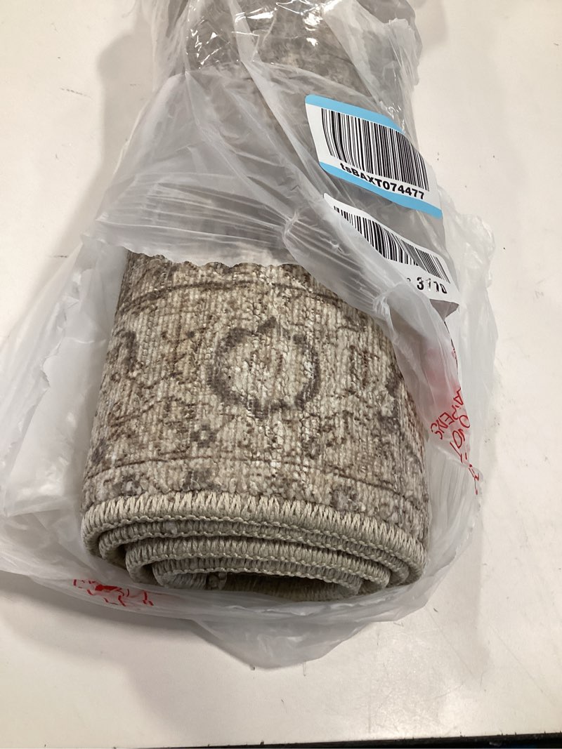 Condition photo showing Good Condition for Livabliss x Our PNW Home Spokane Vintage Border Area Rug, 2'2" x 3'9", Off-White/Brown Off-white/Brown 2'2" x 3'9" (Rectangular)