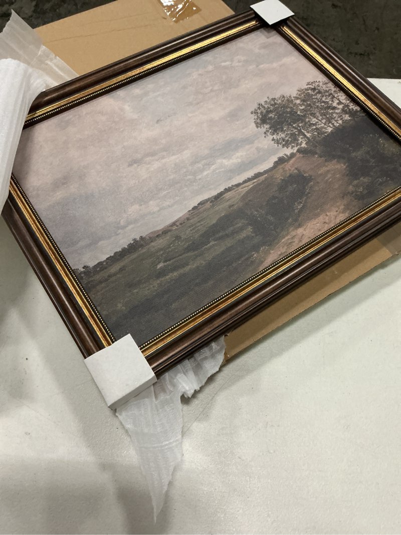 Condition photo showing Good Condition for dajonart vintage gold framed wall art for farmhouse 14”x18”, rustic countryside landscape canvas print with reusable gold frame art decor, vintage rural wall decor for rustic cottage retro home office, 14x18 road 16\\\"l x 12\\\"w