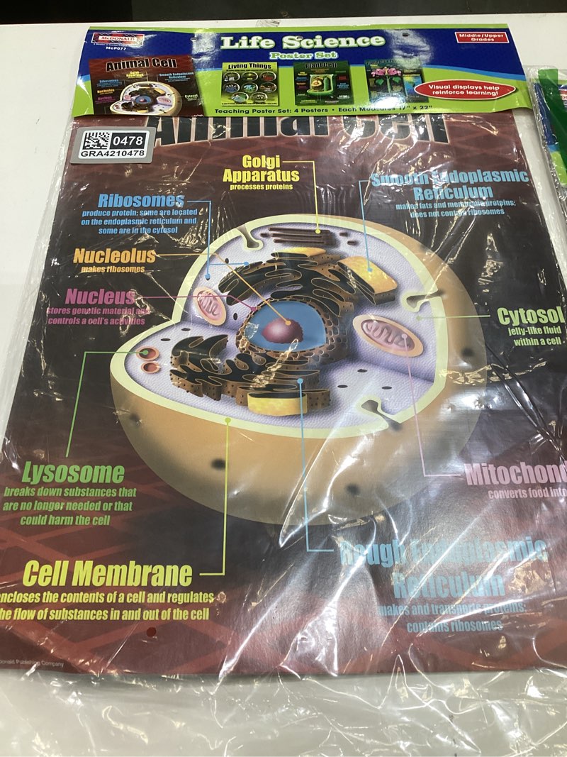 Condition photo showing As Is for mcdonald publishing life science poster set (p077) multi pack of 1
