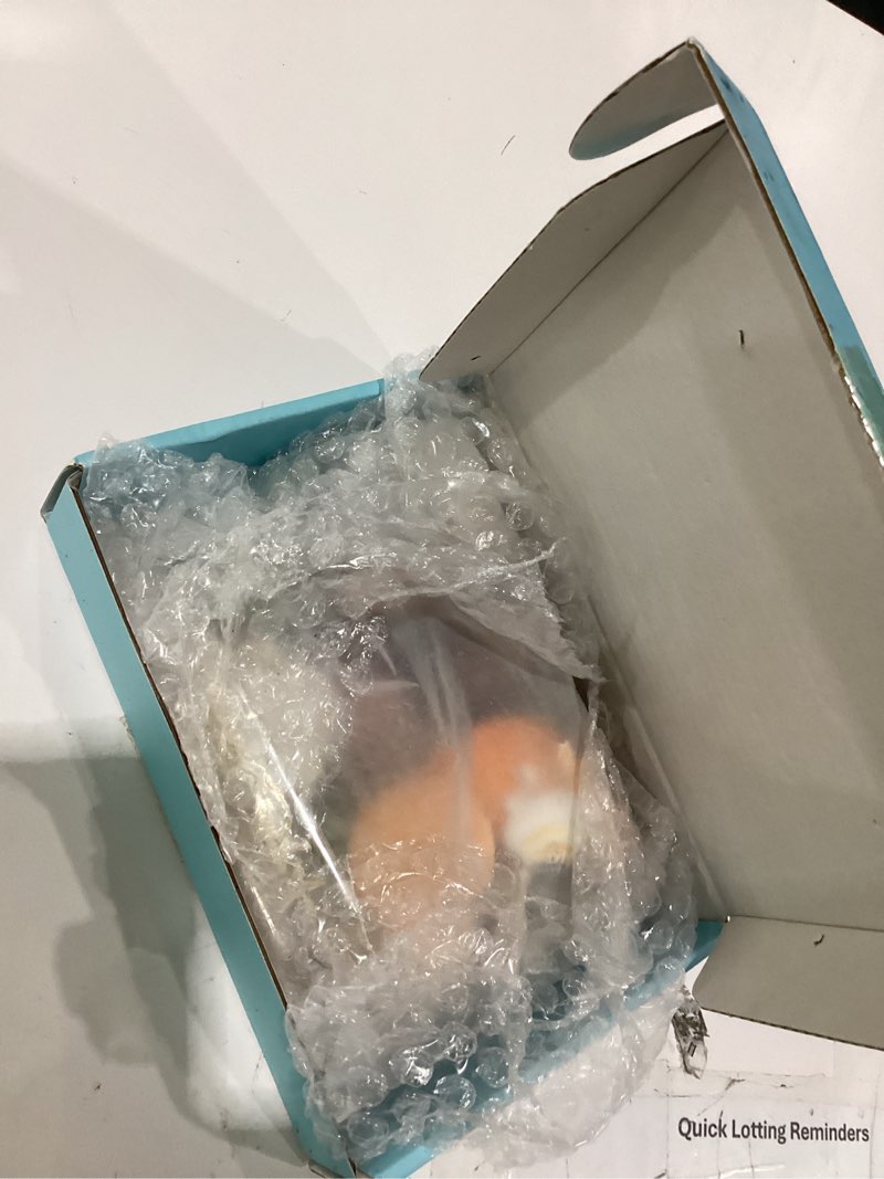 Condition photo showing Good Condition for sea shells mixed beach seashells 9 kinds 1.2"-3.5 "various sizes natural seashells and 2 kinds of natural starfish for beach themed party diy crafts fishtank vase fillers home wedding decorations