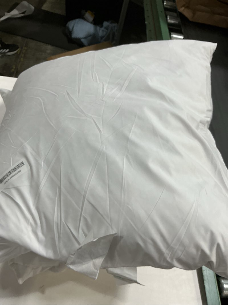 Condition photo showing As Is for SNUG&COZY Luxury Goose Down Feather Pillow Inserts - 24x24IN, Double Layered Down-Proof Design, Ultra-Soft Cover, High Fill Weight, Pack of 2, White 24x24(Pack of 2) White