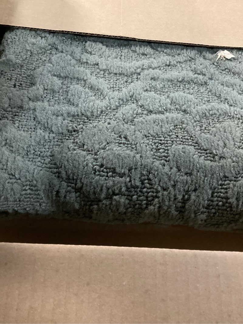 Condition photo showing Good Condition for Garland Rug Ivy 3 Ft. X 5 Ft. Sage Green Floral Solid Color Area Rug - Durable, Stylish, and Soft Rug for Living Rooms, Hallways, Bedrooms, and High-Traffic Areas Sage 3' x 5' (Rectangular)