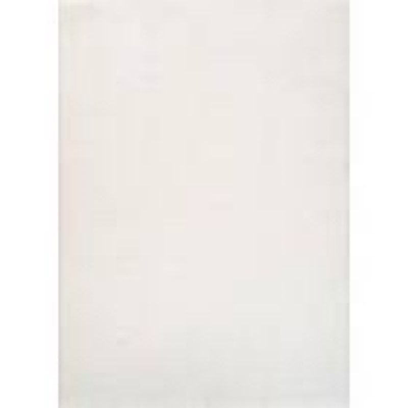 jutem bone 4 ft. x 6 ft. solid indoor area rug