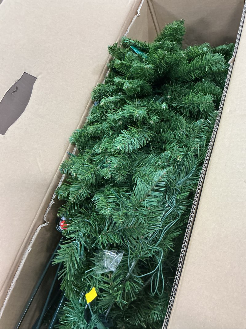 Condition photo showing Good Condition for Holiday living 6.5 ft greensboro pre-lit tree